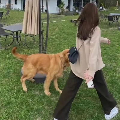 战斗的心